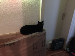 Max macht sich auch bereit